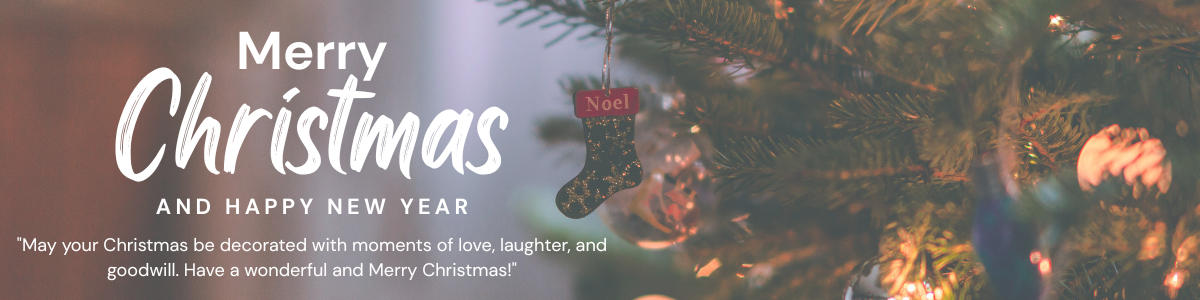 Merry Christmas and Happy New Year！